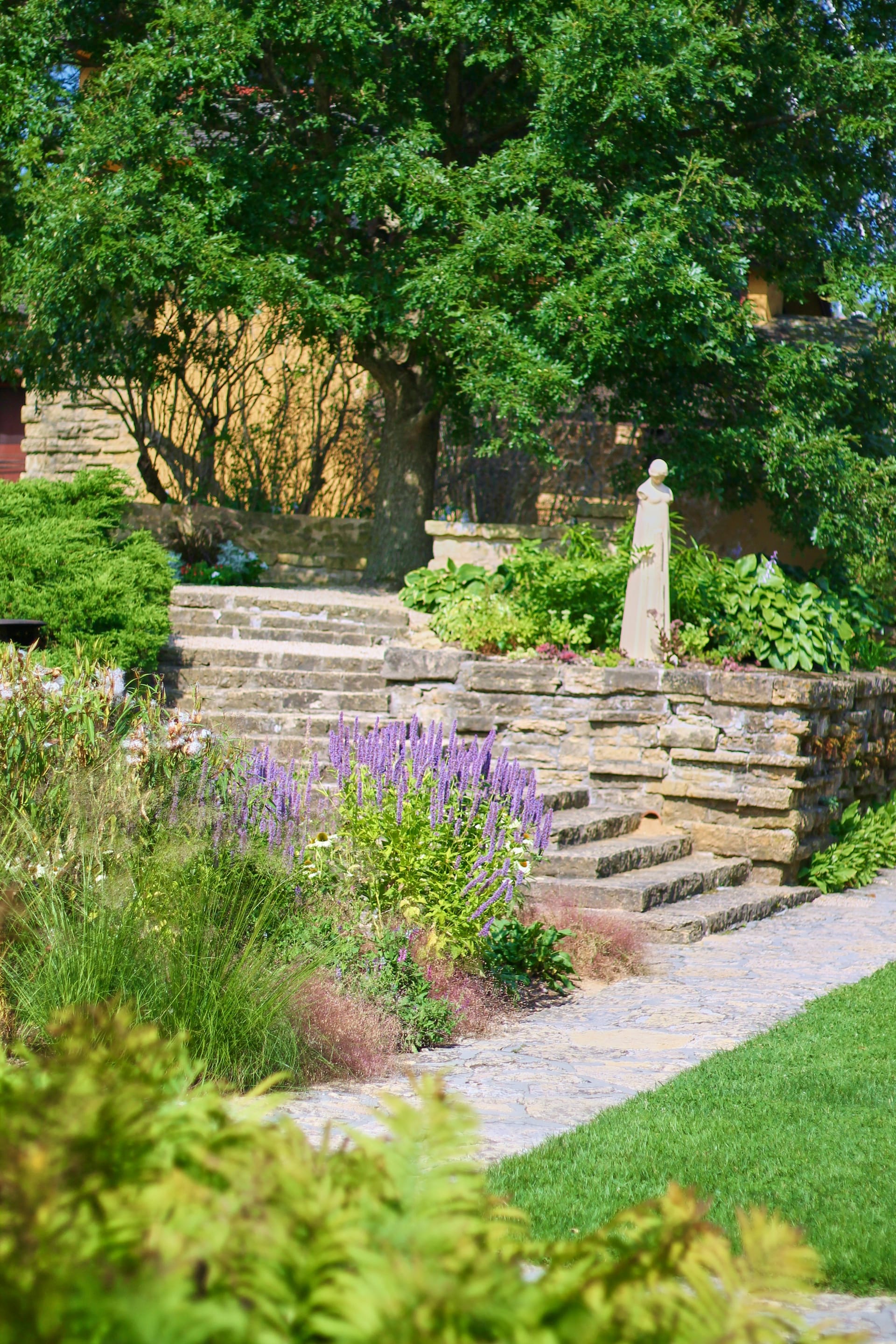Stone steps and low walls climbing through a planted garden in summer