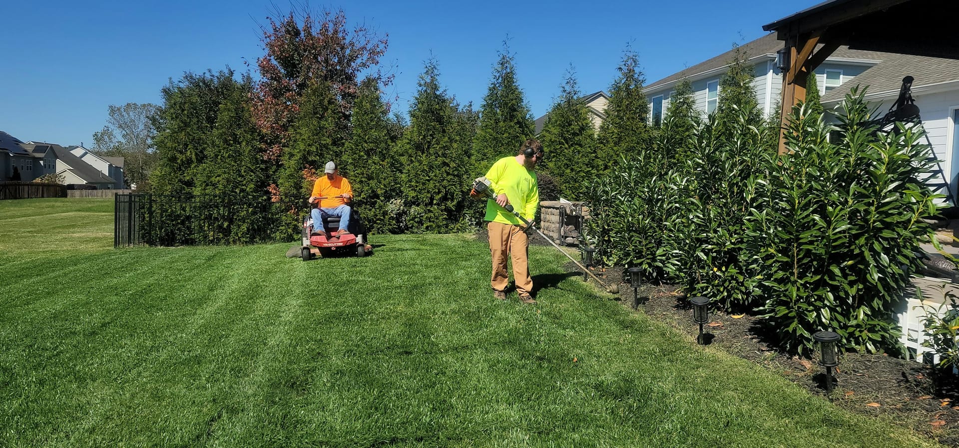Two landscapers mowing and string-trimming a striped residential lawn beside a hedge
